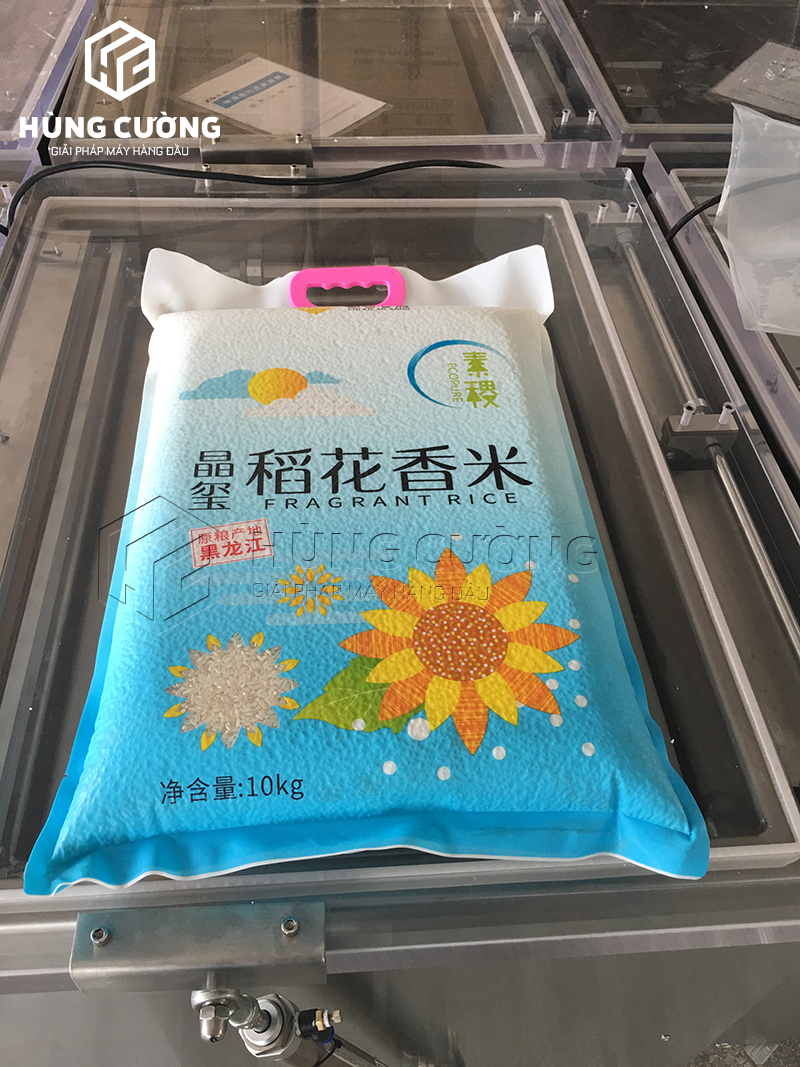 May-dong-goi-hut-chan-khong-dinh-hinh-2-mat-dz-650-kh (2)