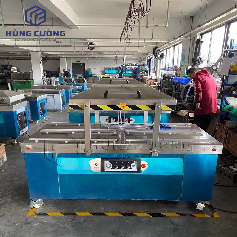 May-dong-goi-hut-chan-khng-dz-800-2sb (1)