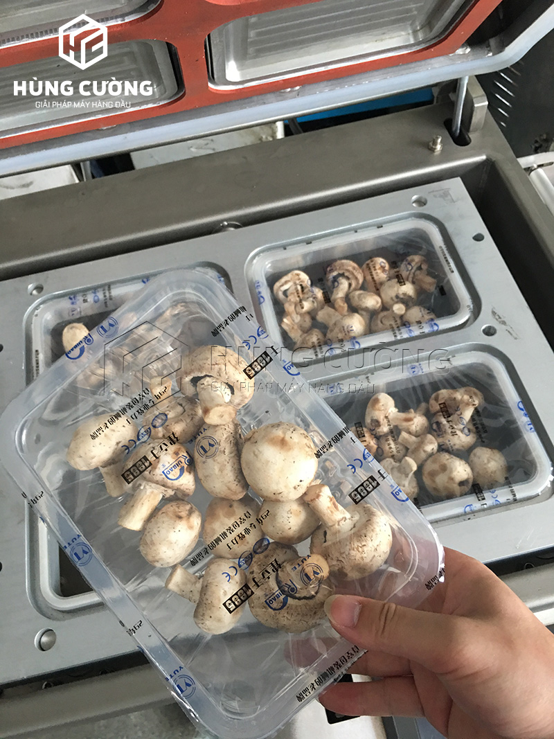 May-dong-goi-hut-chan-khong-khay-thuc-pham-dmp-430a (12)