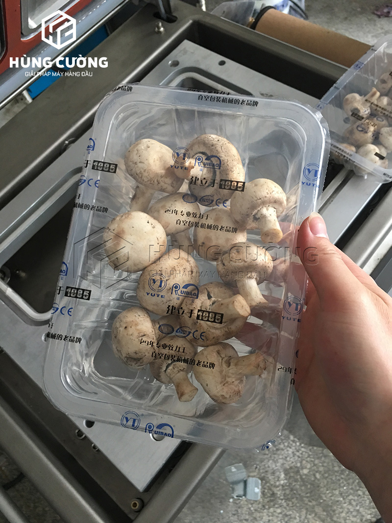 May-dong-goi-hut-chan-khong-khay-thuc-pham-dmp-430a (8)