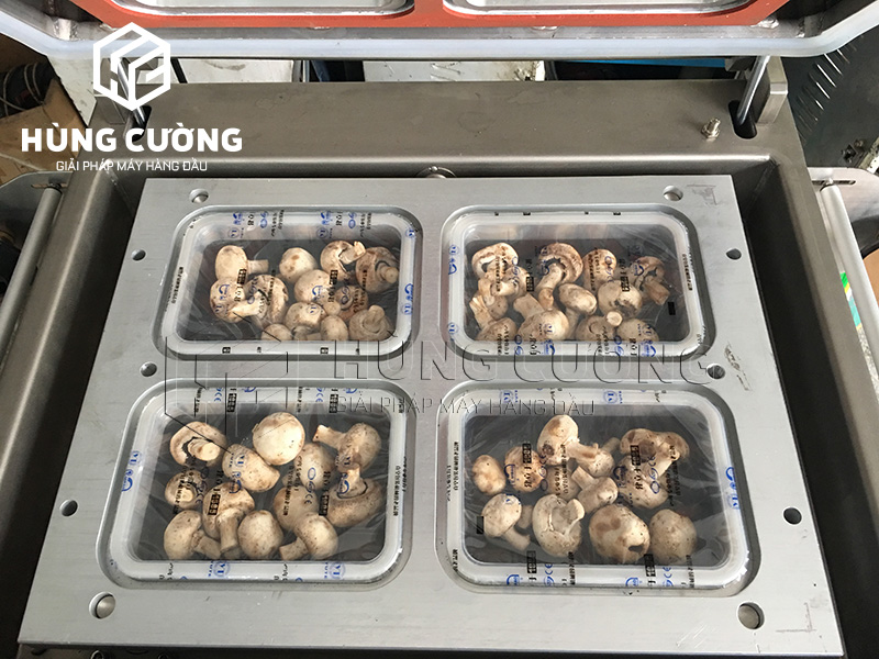 May-dong-goi-hut-chan-khong-khay-thuc-pham-dmp-430a (9)