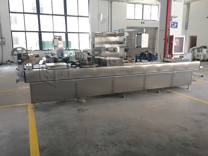 May-dong-goi-hut-chan-khong-nhiet-dinh-hinh-dzl-520t (11)