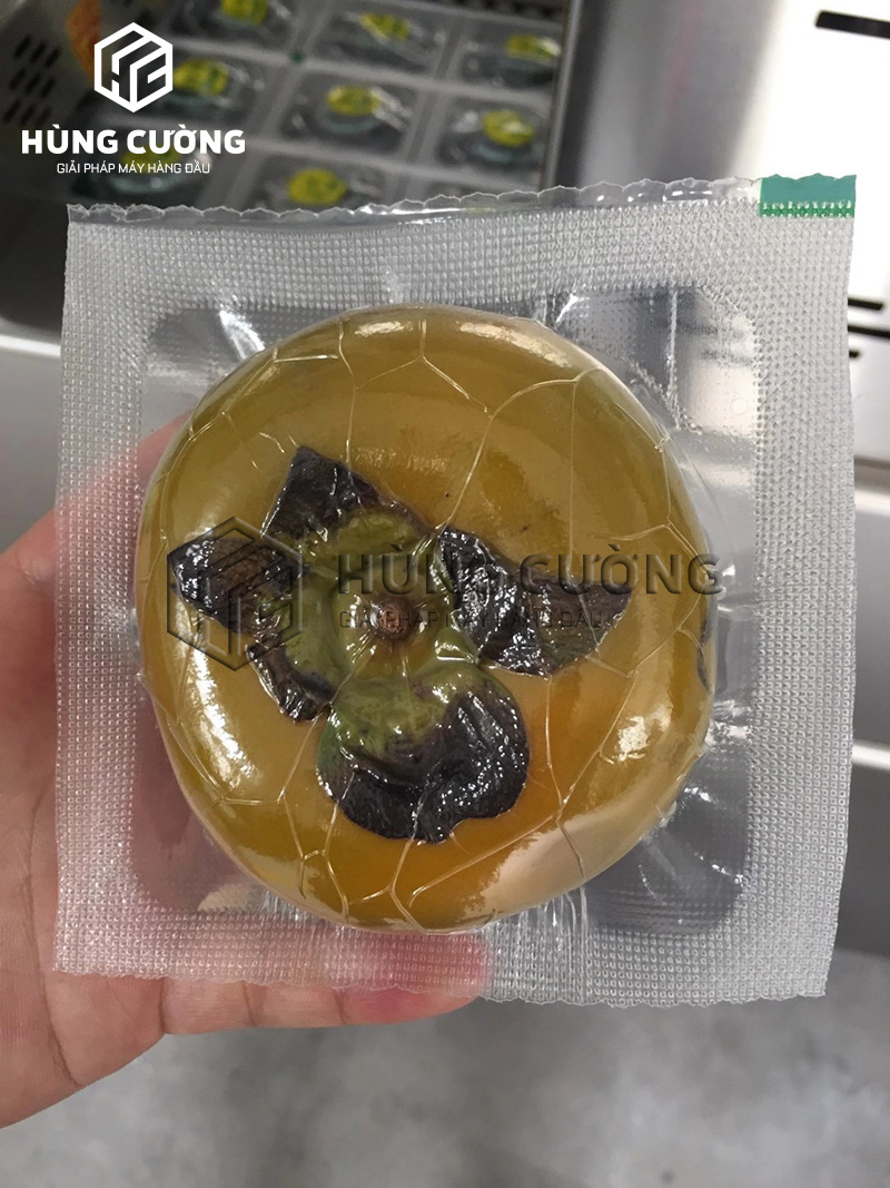 May-dong-goi-hut-chan-khong-nhiet-dinh-hinh-trai-cay (6)