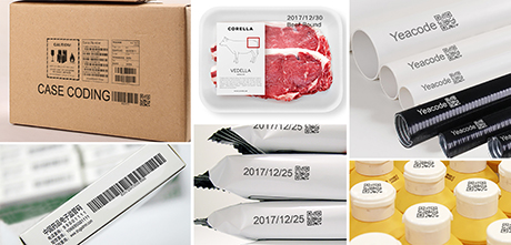 12-Bo-dieu-khien-may-in-phun-piezo-81